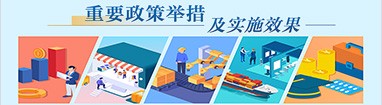 重要政策措施及实施效果