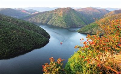 6662138332118241 res07_attpic_brief.jpg