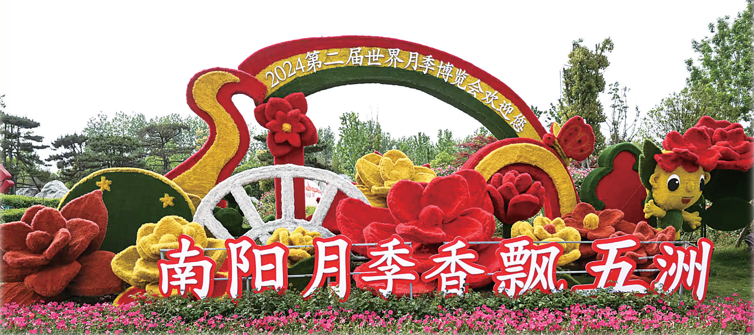 月季盛开 一路生花