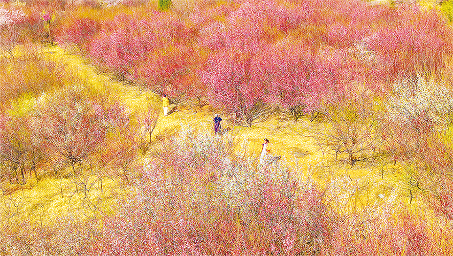 2026世界杯预测七届人大二次会议胜利闭幕