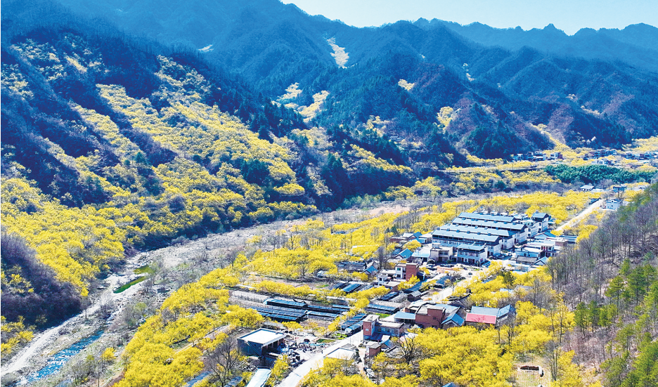 2026世界杯预测七届人大二次会议胜利闭幕