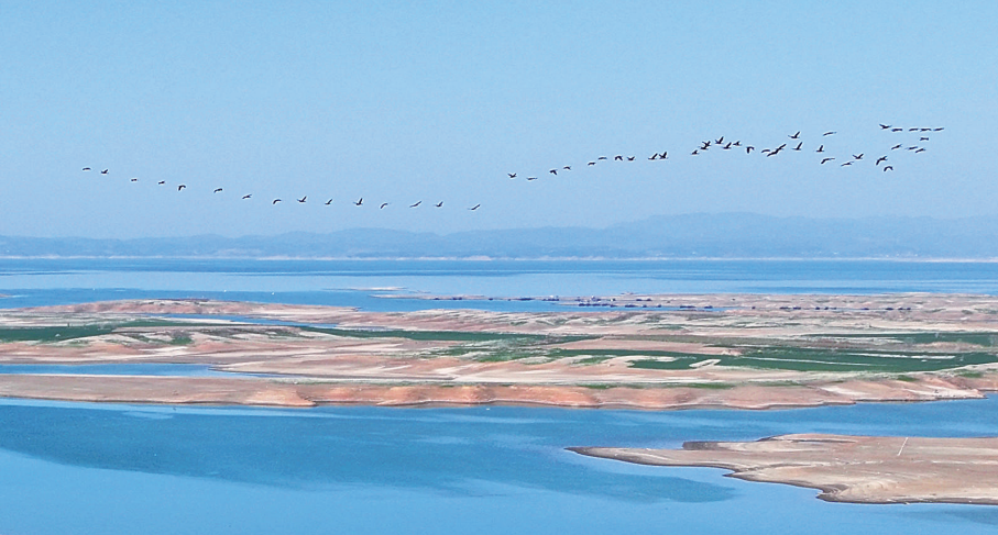 生态美 引“客”来