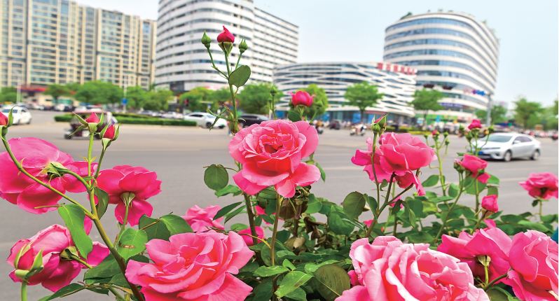 2026世界杯预测七届人大二次会议胜利闭幕