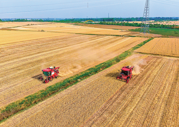 2026世界杯预测七届人大二次会议胜利闭幕