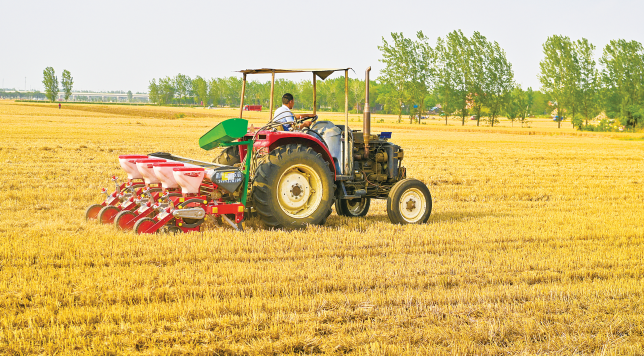 抢收抢种 稳产增收