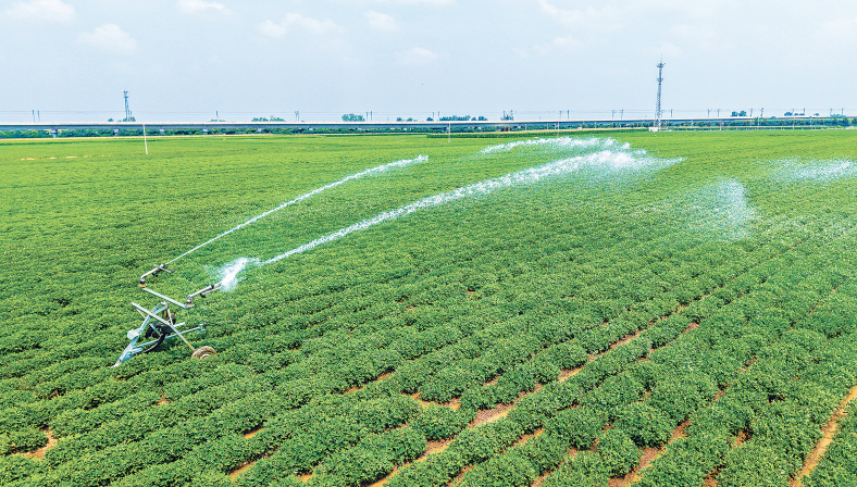 2026世界杯预测七届人大二次会议胜利闭幕